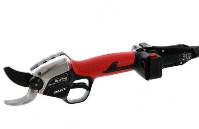 BLUEBIRD PS22-18 ACCUSNOEISCHAAR